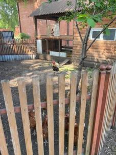 Продажа квартиры Омск. ул. 7-я Солнечная, 87 Продажа квартиры Омск. ул. 7-я Солнечная, 87