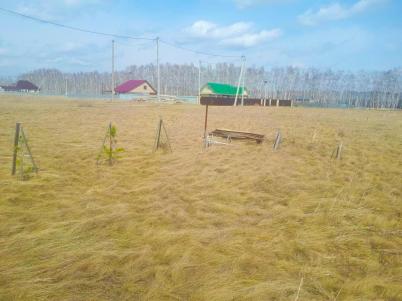 Продажа земли Омск. Заозёрная улица Продажа земли Омск. Заозёрная улица