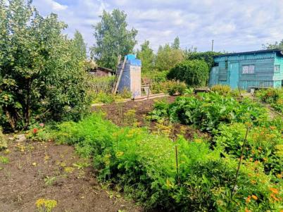 Продажа дачи Таврический. д. Гауф. тер сдт Сибирский садовод-5 Продажа дачи Таврический. д. Гауф. тер сдт Сибирский садовод-5