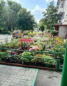 Продажа квартиры Омск. Кордный, Кордная 4-я, 45 Продажа квартиры Омск. Кордный, Кордная 4-я, 45