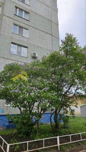 Продажа квартиры Омск. улица Конева, 28