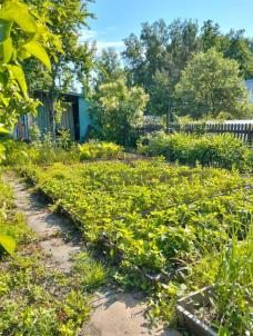 Продажа дачи Омск. г Омск, тер.СОСН Нефтехимик, д 1546А