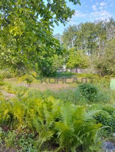 Продажа дачи Омск. г Омск, тер.СОСН Нефтехимик, д 1546А