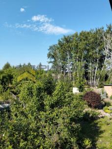 Продажа дачи Омск. г Омск, тер.СОСН Нефтехимик, д 1546А