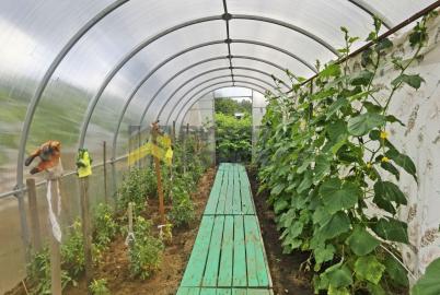 Продажа дачи Омск. г Омск, тер.СОСН Светлый, д 200