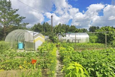 Продажа дачи Омск. г Омск, тер.СОСН Светлый, д 200
