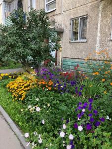 Продажа квартиры Омск. улица Бархатовой, 4