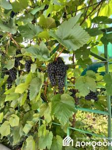 Продажа дома Октябрьская, 38