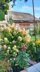 Продажа квартиры Омск. Продажа квартиры Омск.