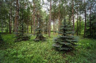 Продажа таунхауса Омск. Суворова ул., 90к7