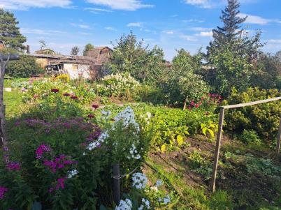 Продажа дачи Омск.&nbsp;тер сдт Ивушка