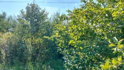 Продажа дачи Омск. , 936 Продажа дачи Омск. , 936