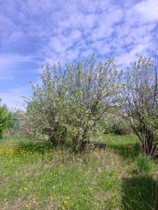 Продажа дачи Омск. , 936 Продажа дачи Омск. , 936