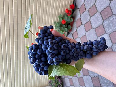 Продажа дома Омск. 1 Железнодорожная