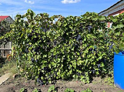 Продажа дома Омск. 1 Железнодорожная