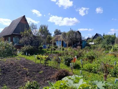 Продажа дачи Омск. Прогресс-5 тер.СОСН. . Прогресс-5 тер.СОСН Продажа дачи Омск. Прогресс-5 тер.СОСН. . Прогресс-5 тер.СОСН