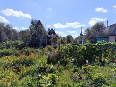 Продажа дачи Омск. Прогресс-5 тер.СОСН. . Прогресс-5 тер.СОСН Продажа дачи Омск. Прогресс-5 тер.СОСН. . Прогресс-5 тер.СОСН