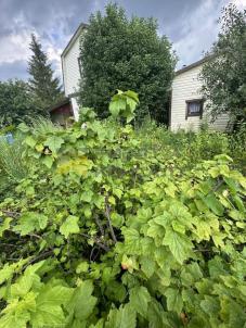 Продажа дома Омск. г Омск, тер.СОСН Сибирский садовод-3 Продажа дома Омск. г Омск, тер.СОСН Сибирский садовод-3