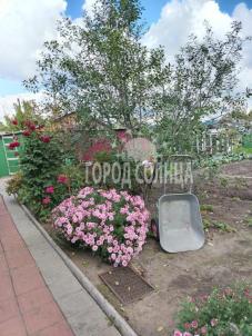 Продажа дома Омск. Чередовый, Крымская, 85