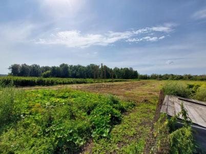 Продажа дома Любинский.&nbsp;Матюшино.&nbsp;Центральная ул., 19