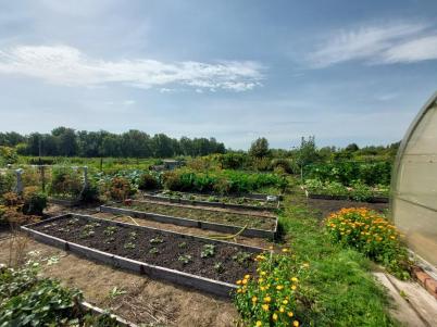 Продажа дома Любинский.&nbsp;Матюшино.&nbsp;Центральная ул., 19