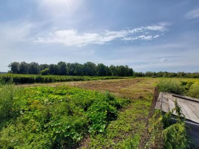 Продажа дома Любинский.&nbsp;Матюшино.&nbsp;Центральная ул., 19