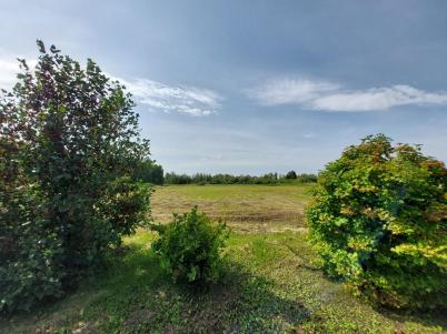 Продажа дома Любинский.&nbsp;Матюшино.&nbsp;Центральная ул., 19