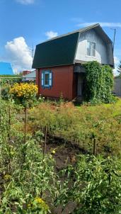 Продажа дачи Омск. СНТ Моторостроитель 