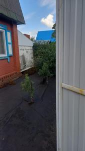 Продажа дачи Омск. СНТ Моторостроитель 