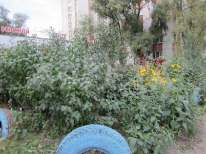 Продажа квартиры Омск. ул. Карбышева, 38А