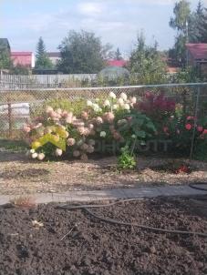 Продажа дачи Омск. г Омск, тер.СОСН Газовик-1, уч 196 Продажа дачи Омск. г Омск, тер.СОСН Газовик-1, уч 196