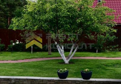 Продажа дома улица Сосновая, 4 Продажа дома улица Сосновая, 4