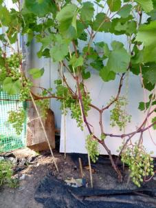 Продажа квартиры , 60