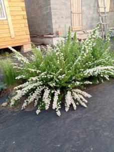 Продажа квартиры , 60