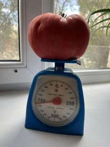 Продажа дачи Омск. СНТ Мир