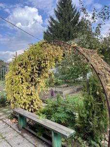 Продажа дачи Омск. СНТ Мир