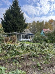 Продажа дачи Омск. СНТ МИР