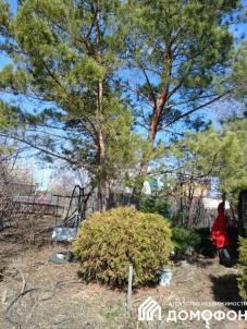 Продажа дачи Омск.&nbsp;СОСН Тепличный-2,4-я аллея, 64