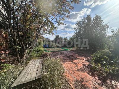 Продажа дачи Омск. СОСНСОСН Газовик-1