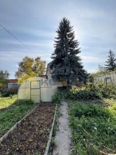 Продажа дачи Омск. Омск,СНТ Тепличный-2 , филиал 1
