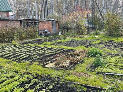 Продажа дачи Омск. СОСН Автомобилист-6