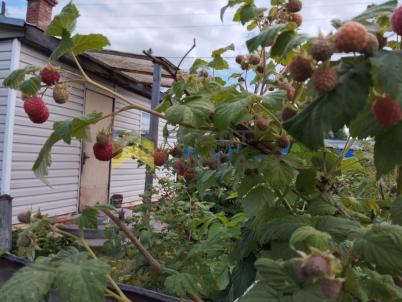 Продажа дома Омск. г Омск, тер.СОСН Рябинка (Центральный), д 50