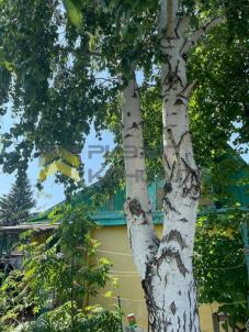 Продажа дачи Омск. г Омск, тер.СОСН Энергетик-1 Продажа дачи Омск. г Омск, тер.СОСН Энергетик-1