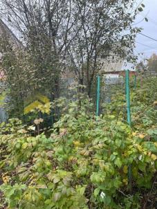 Продажа дачи Омск. г Омск, тер.СОСН Энергетик-1 Продажа дачи Омск. г Омск, тер.СОСН Энергетик-1