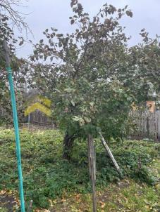 Продажа дачи Омск. г Омск, тер.СОСН Энергетик-1 Продажа дачи Омск. г Омск, тер.СОСН Энергетик-1
