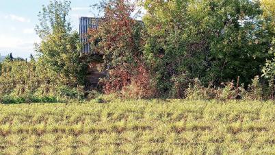 Продажа земли Островского ул.