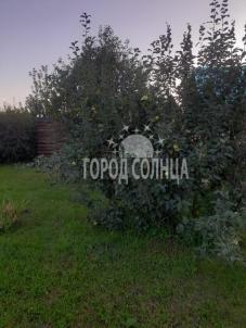 Продажа дачи Омск. , 1 Продажа дачи Омск. , 1