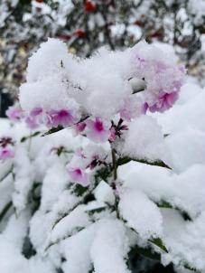 Продажа земли Омск. Шинник -4