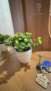 Аренда квартиры Омск. Сазонова, 208а Аренда квартиры Омск. Сазонова, 208а