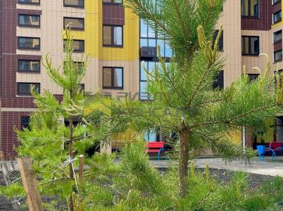 Продажа квартиры Омск. проезд 6-й Амурский, 16 Продажа квартиры Омск. проезд 6-й Амурский, 16